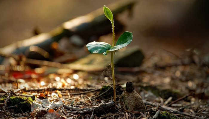 民生县最新疫情：最新动态与防控措施