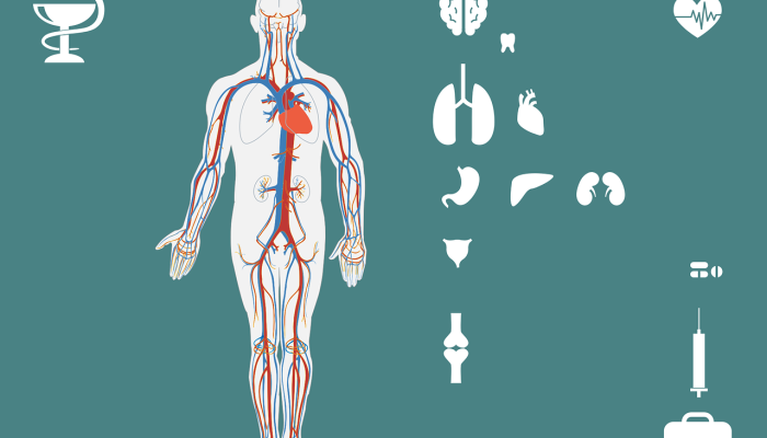 深圳骏驰疫情最新招聘：让你的职业生涯在新时代焕发新的活力