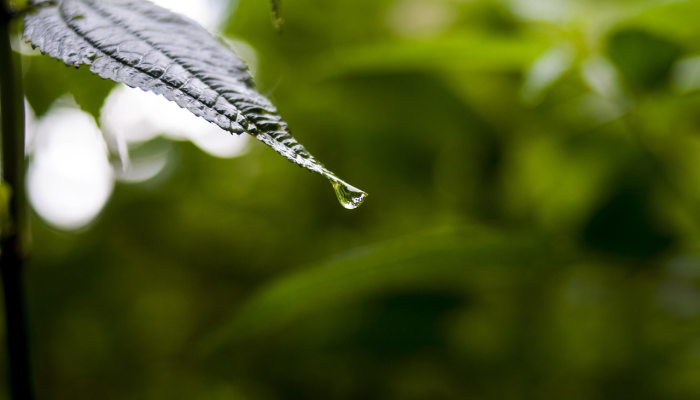 疫情最新烟台:全面了解最新动态与防疫策略 疫情最新烟台:全面了解最新动态与防疫策略