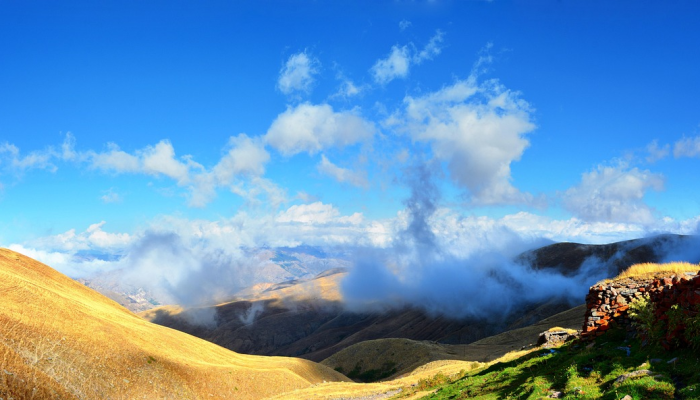 苏州巴山疫情最新消息：当前形势与未来展望