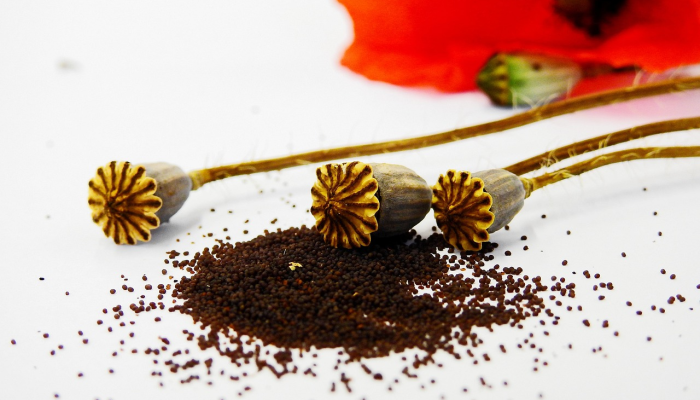 定远周边疫情地图最新：实时了解健康动态，保障您的安全