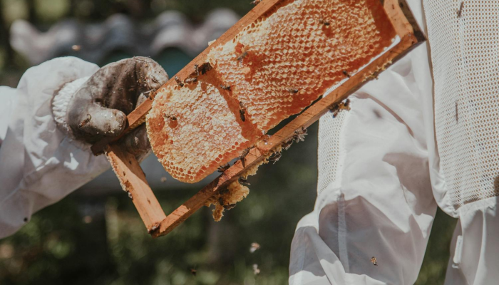 嘉善商城疫情最新消息：安全第一，共同守护健康生活