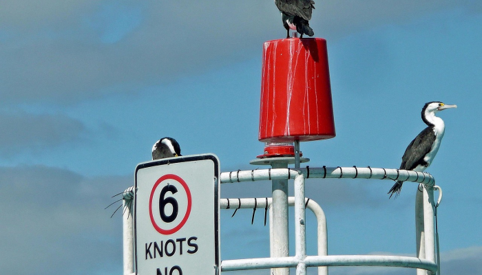 澳洲四周疫情最新情况：全面解析与未来展望