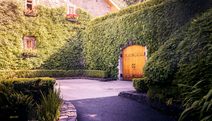 芜湖百蕊山庄疫情最新:安全与奢华并存的度假体验 芜湖百蕊山庄疫情最新:安全与奢华并存的度假体验
