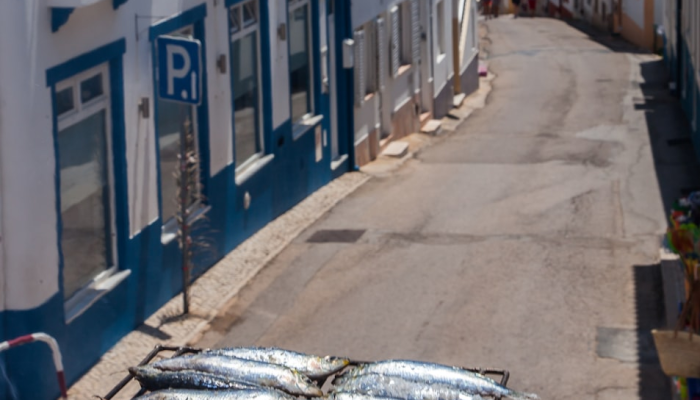 宝山张庙街道最新疫情：防疫措施与居民生活状况