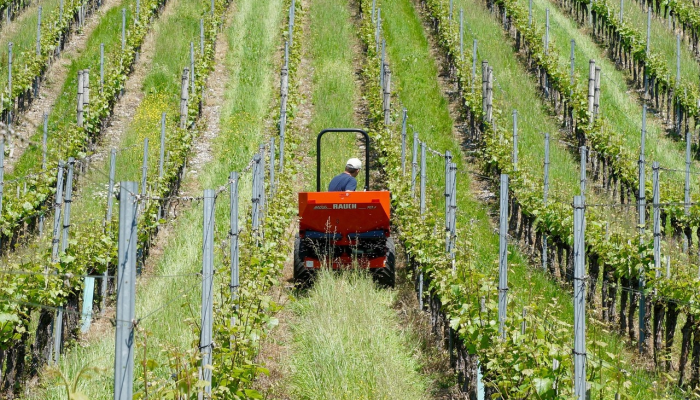 平顶山农村疫情最新：您需要知道的每一条信息