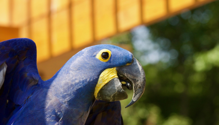 毫州疫情最新排位:最新动态与防疫建议 毫州疫情最新排位:最新动态与防疫建议