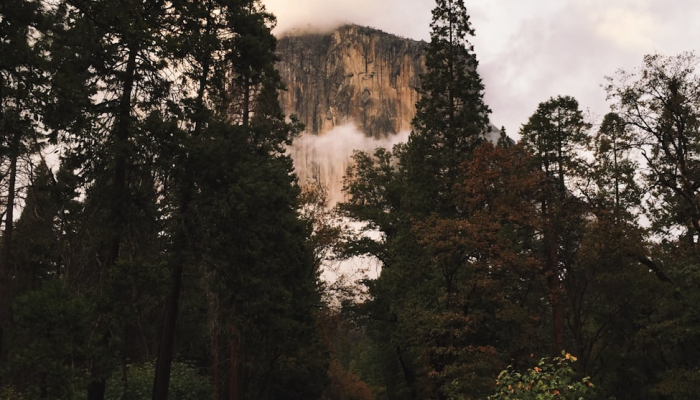 宜宾疫情最新南溪：全面解析与健康守护