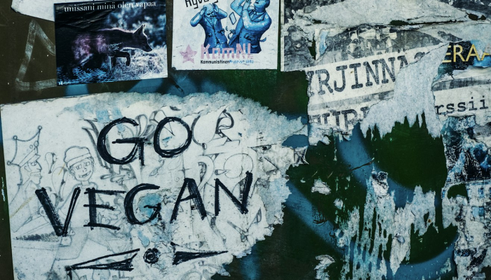 马王堆疫情最新通报：掌握健康第一线的最新动态