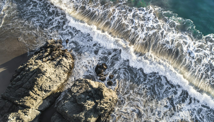 定海疫情最新动态:全面掌握防疫知识与动态更新 定海疫情最新动态:全面掌握防疫知识与动态更新