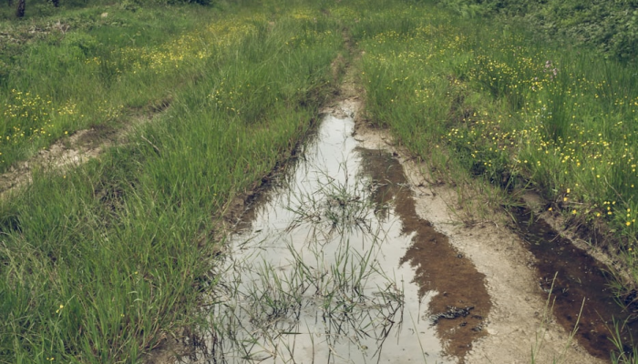 天津疫情区域通报最新