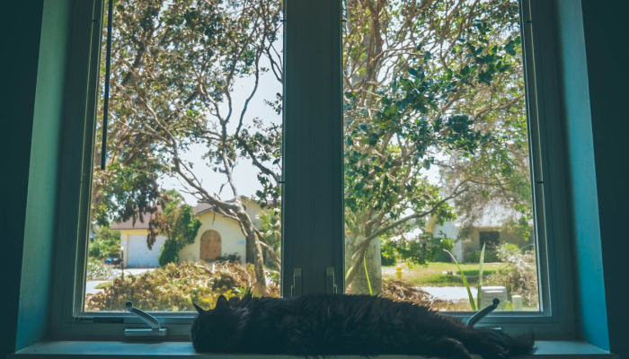 福建盛田疫情最新通报:让我们共同携手,战胜疫情 福建盛田疫情最新通报:让我们共同携手,战胜疫情